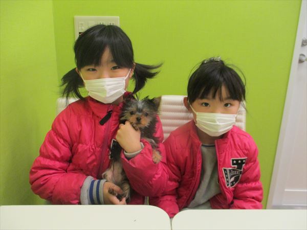 写真