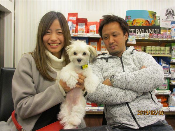 写真