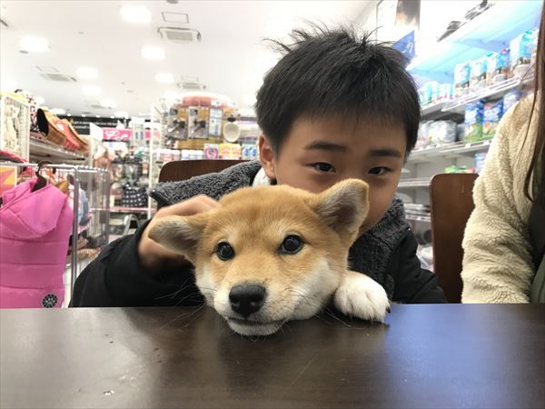 写真