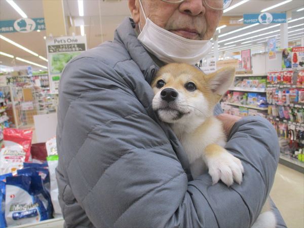 写真