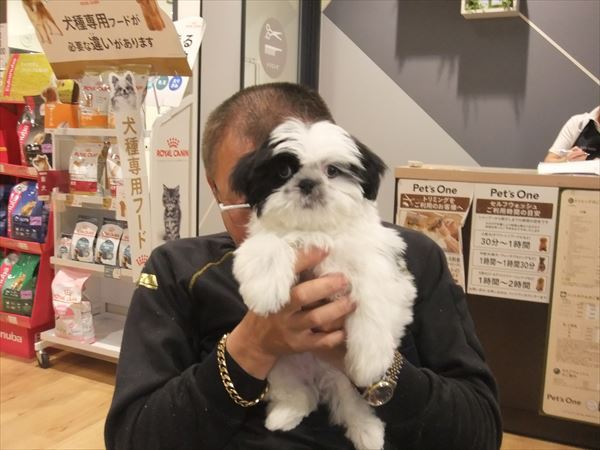 写真
