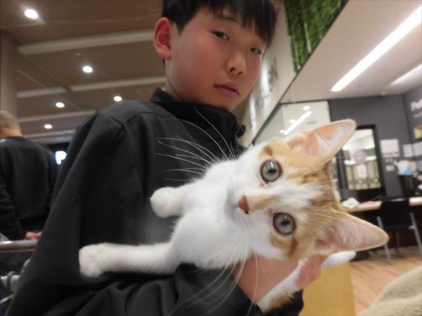 写真