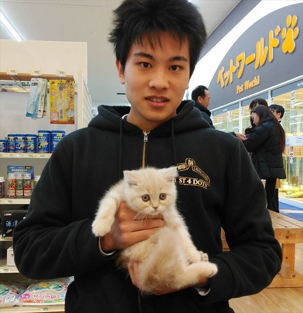 写真