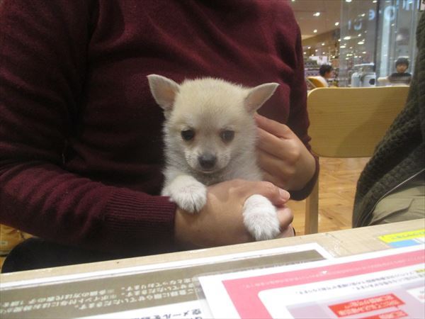 写真