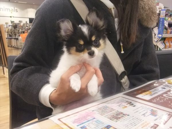 写真