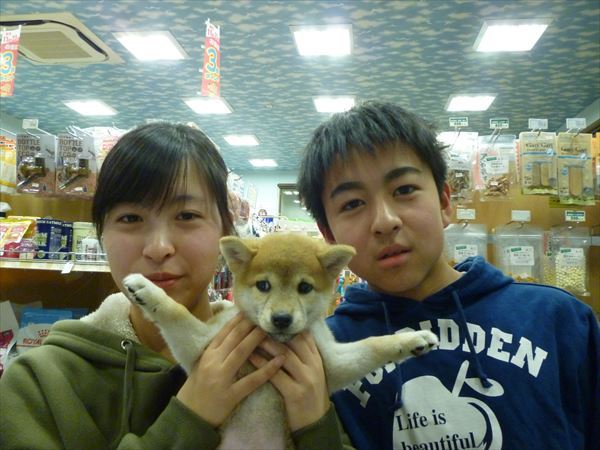 写真
