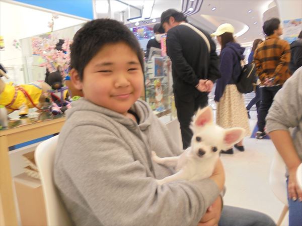 写真