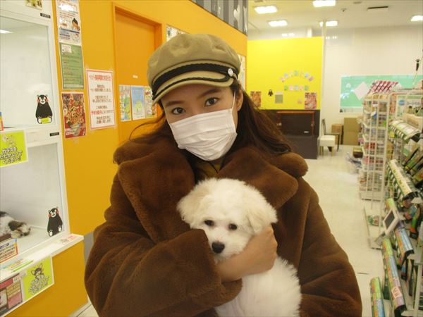 写真