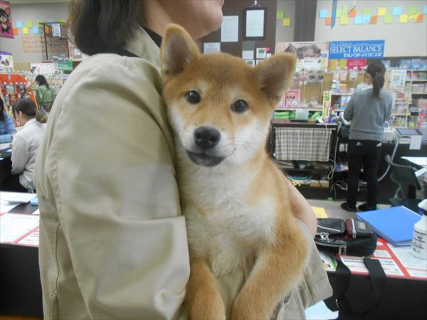 写真