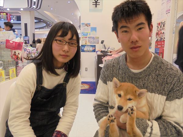 写真