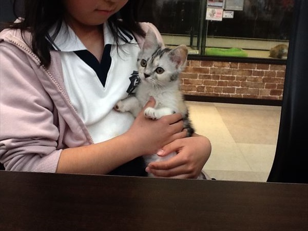 写真
