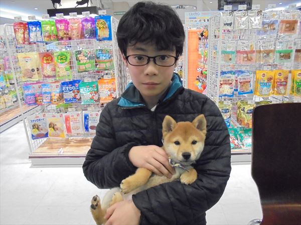 写真