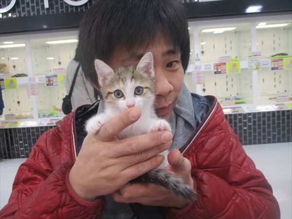 写真