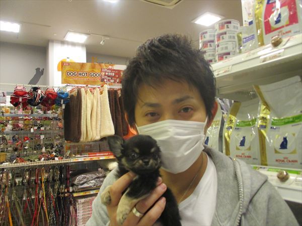 写真