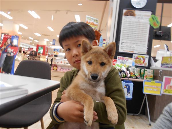 写真