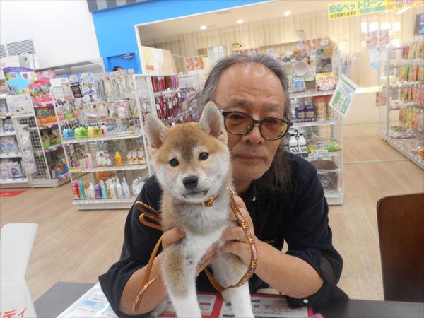 写真