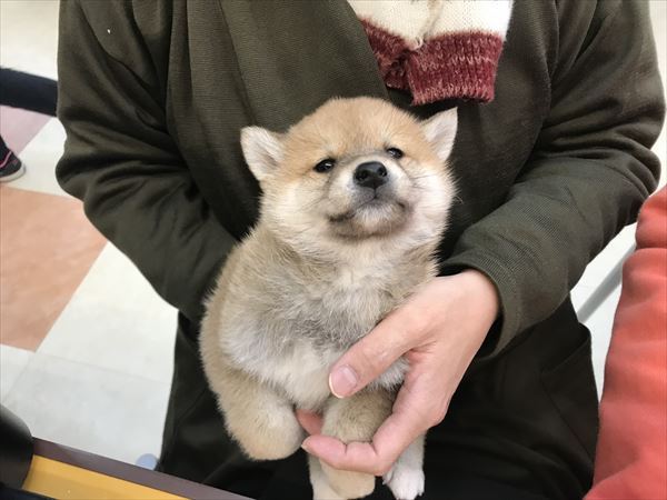 写真
