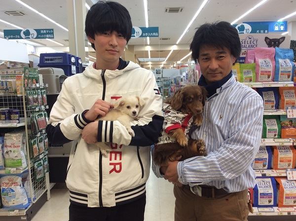 写真
