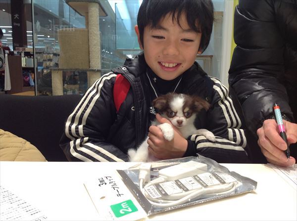 写真