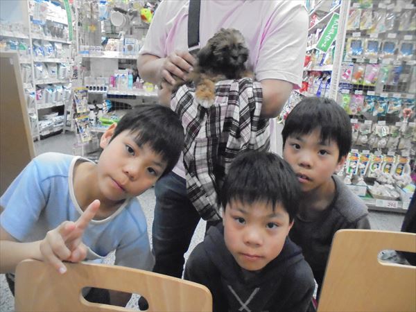 写真