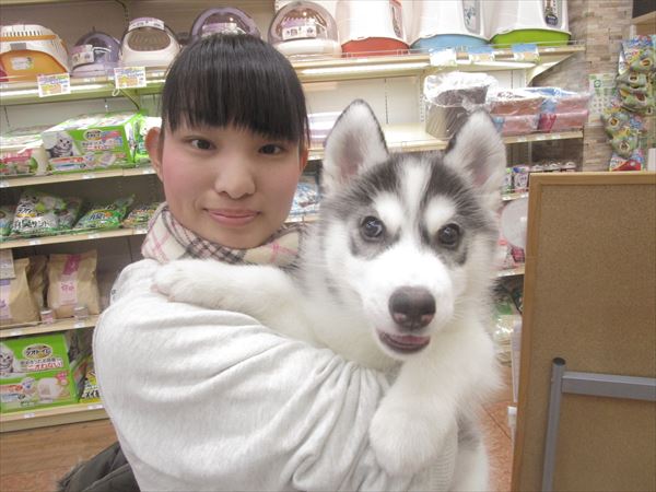 写真