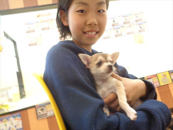 写真