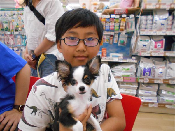 写真