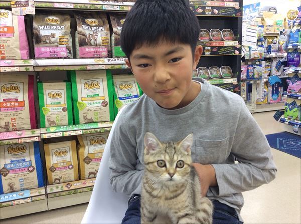 写真