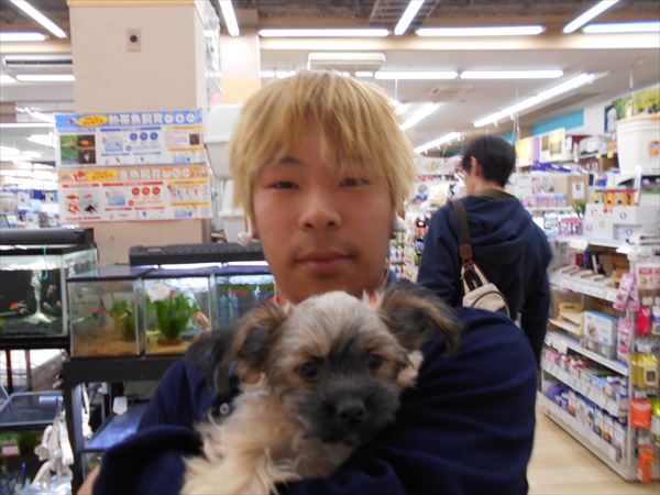 写真