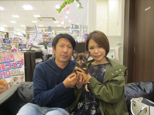 写真