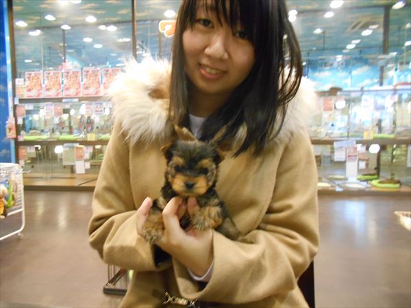 写真