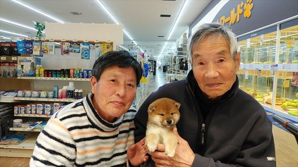 写真