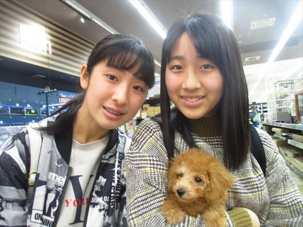 写真