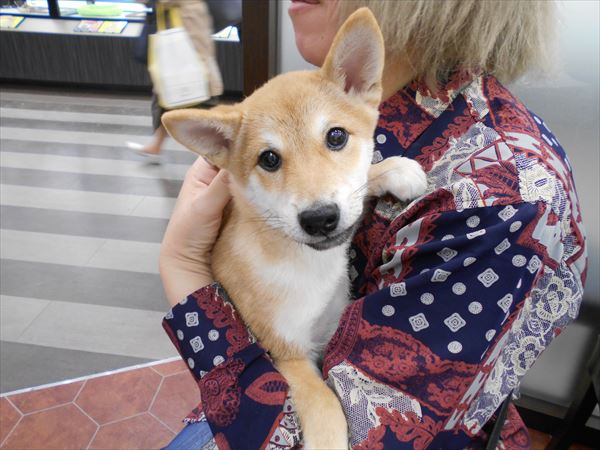 写真