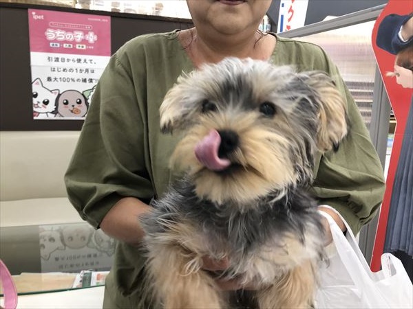 写真