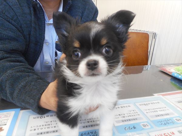 写真