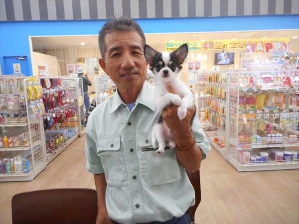 写真