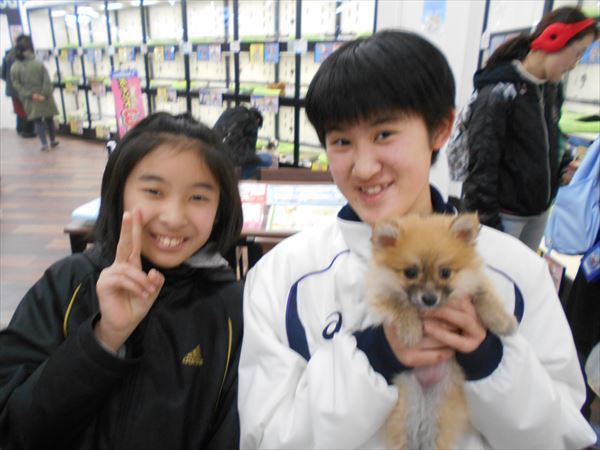 写真