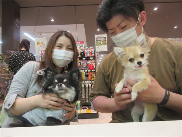 写真