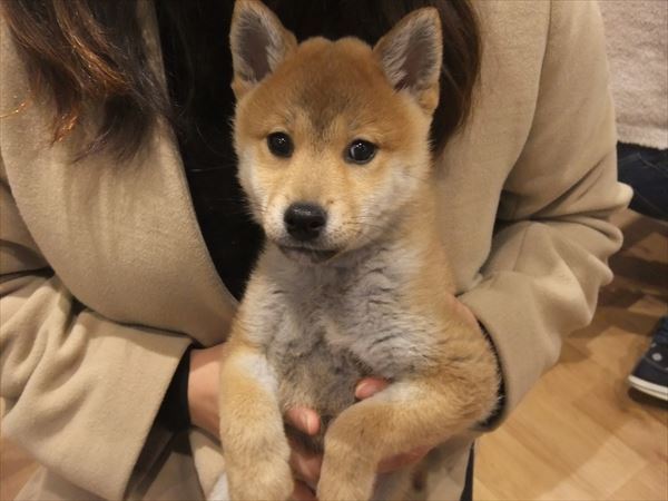 写真