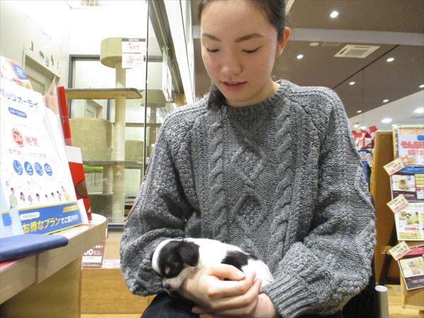 写真