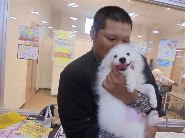 写真