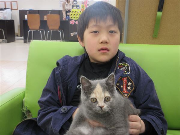 写真