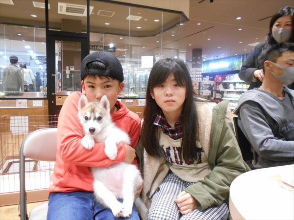 写真