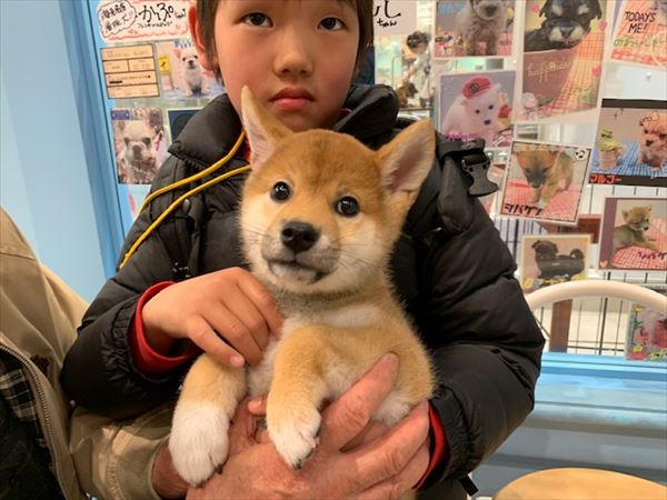 写真