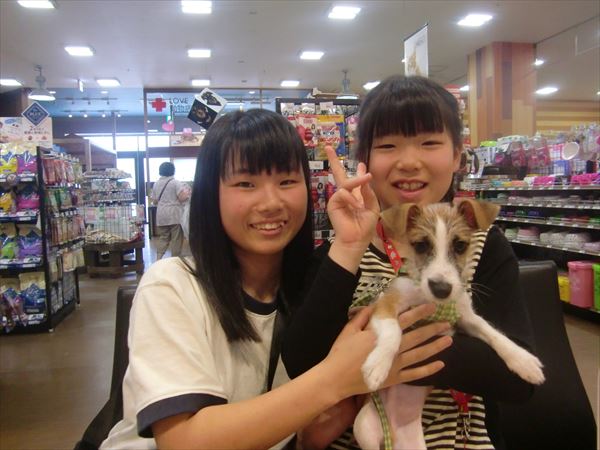 写真