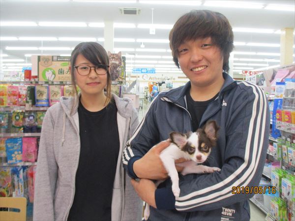 写真