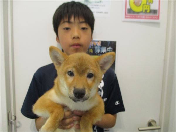 写真