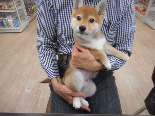 写真
