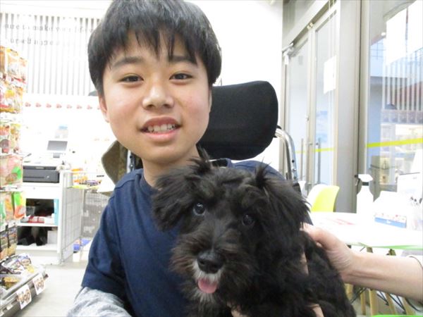 写真